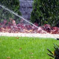lawn watering with sprinkler