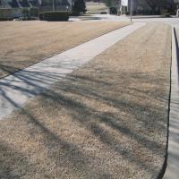A Tulsa lawn in the winter months. It's dry, brown, and in need of lawn care.