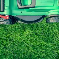 A green push lawn mower on fresh-cut, green, healthy grass in Oklahoma