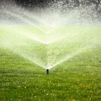 Sprinkler watering green grass 