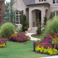tree and shrub care for healthy lawn