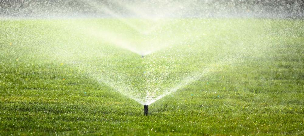 Sprinkler watering green grass 
