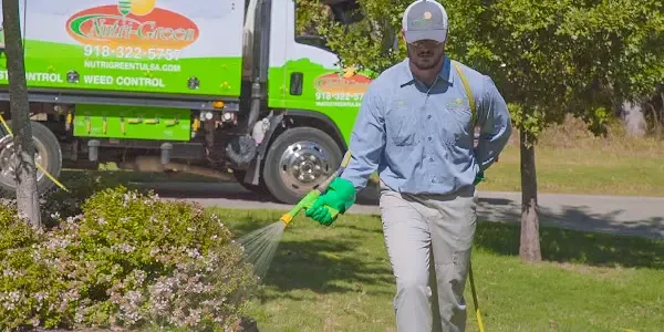 Lawn Technician spraying lawn